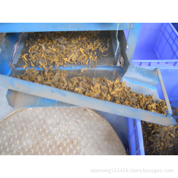 golden thread supreme benefits coptis